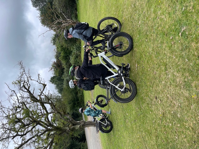 Group on Electric Fat Bikes